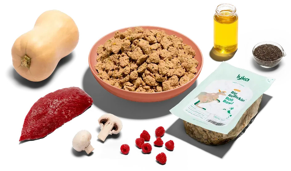 Fresh ingredients used in Lyka meals