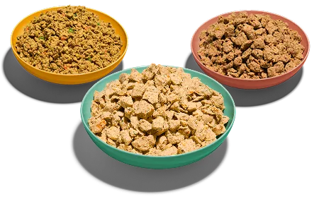Three bowls of Lyka meals
